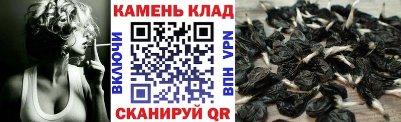 ГАШ 40% ТГК  МЕГА рабочий сайт  Зуевка 