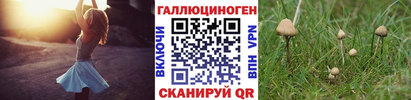Псилоцибиновые грибы GOLDEN TEACHER  сколько стоит  Зуевка 