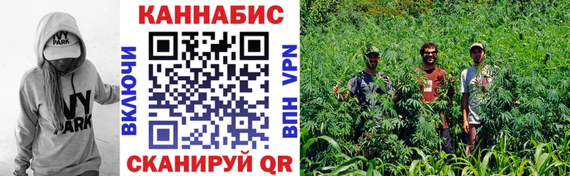 как найти наркотики  Зуевка  Бошки марихуана SATIVA & INDICA 